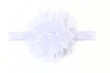 Baby Flower Headband (Pack of 6)