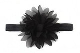 Baby Flower Headband (Pack of 6)