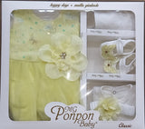 Chiffon Flower Newborn Frock Set (5pcs)