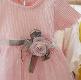 Princess Baby Pink Flower Tutu Frock